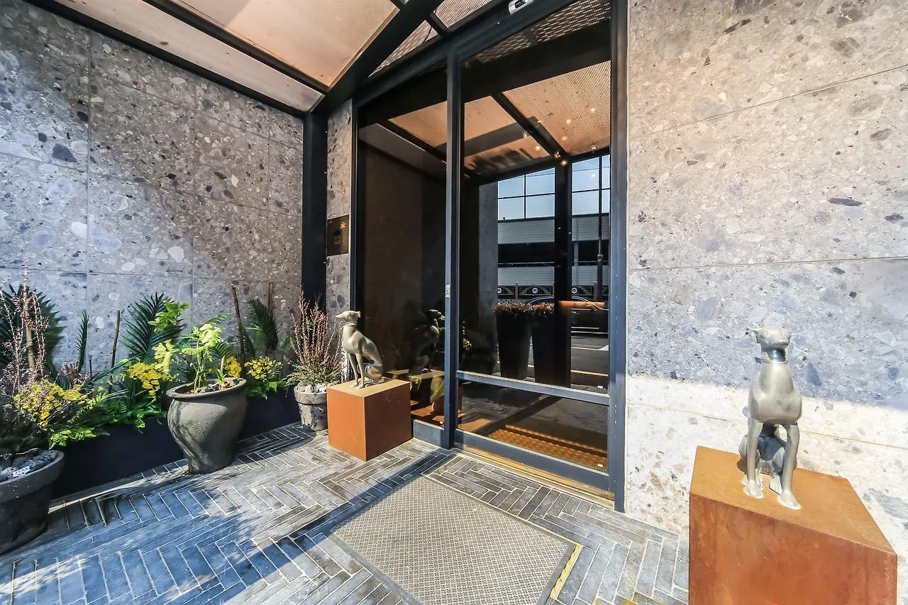 The Hound Hotel Busan